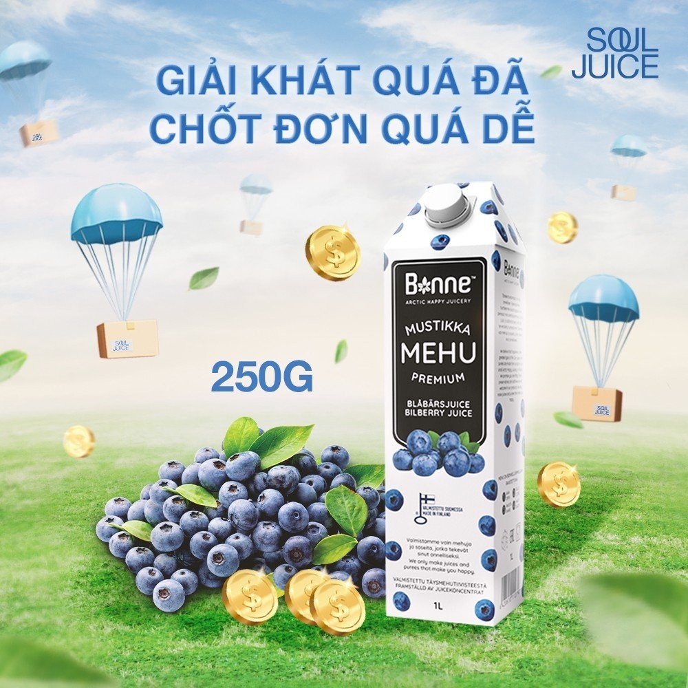 Nước ép quả việt quất rừng BONNE 1 lít - 3