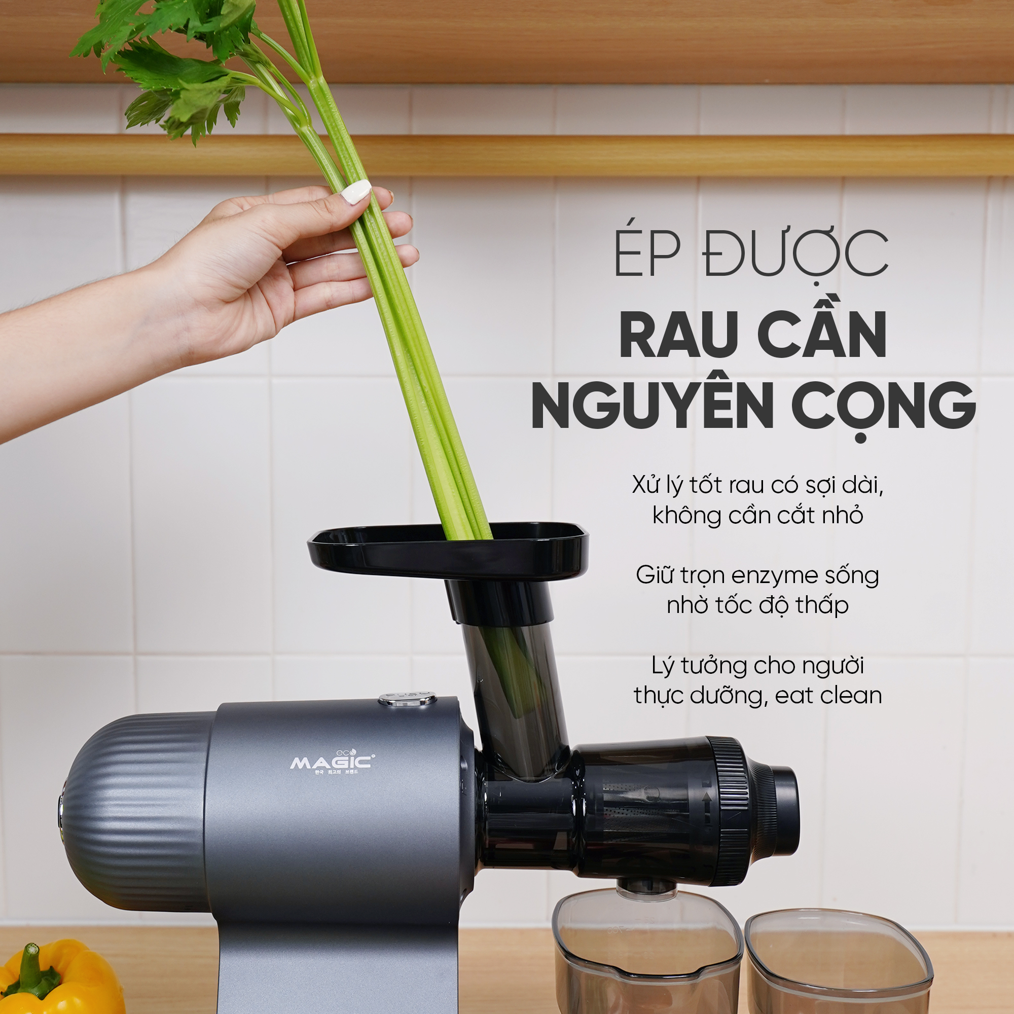 Máy ép chậm trục ngang Magic Eco AC-142