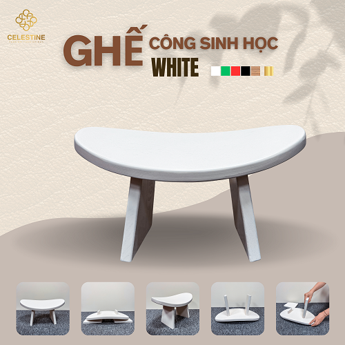 Ghế Công Sinh Học WHITE - Phân phối chính hãng