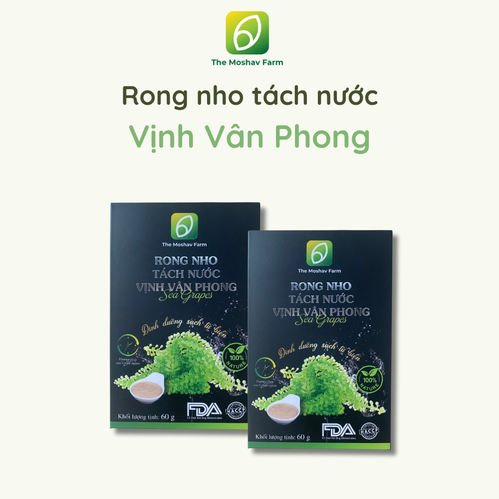 Rong nho tách nước Vịnh Vân Phong-duoc-ban-tai-LifeStyle and Household Appliances