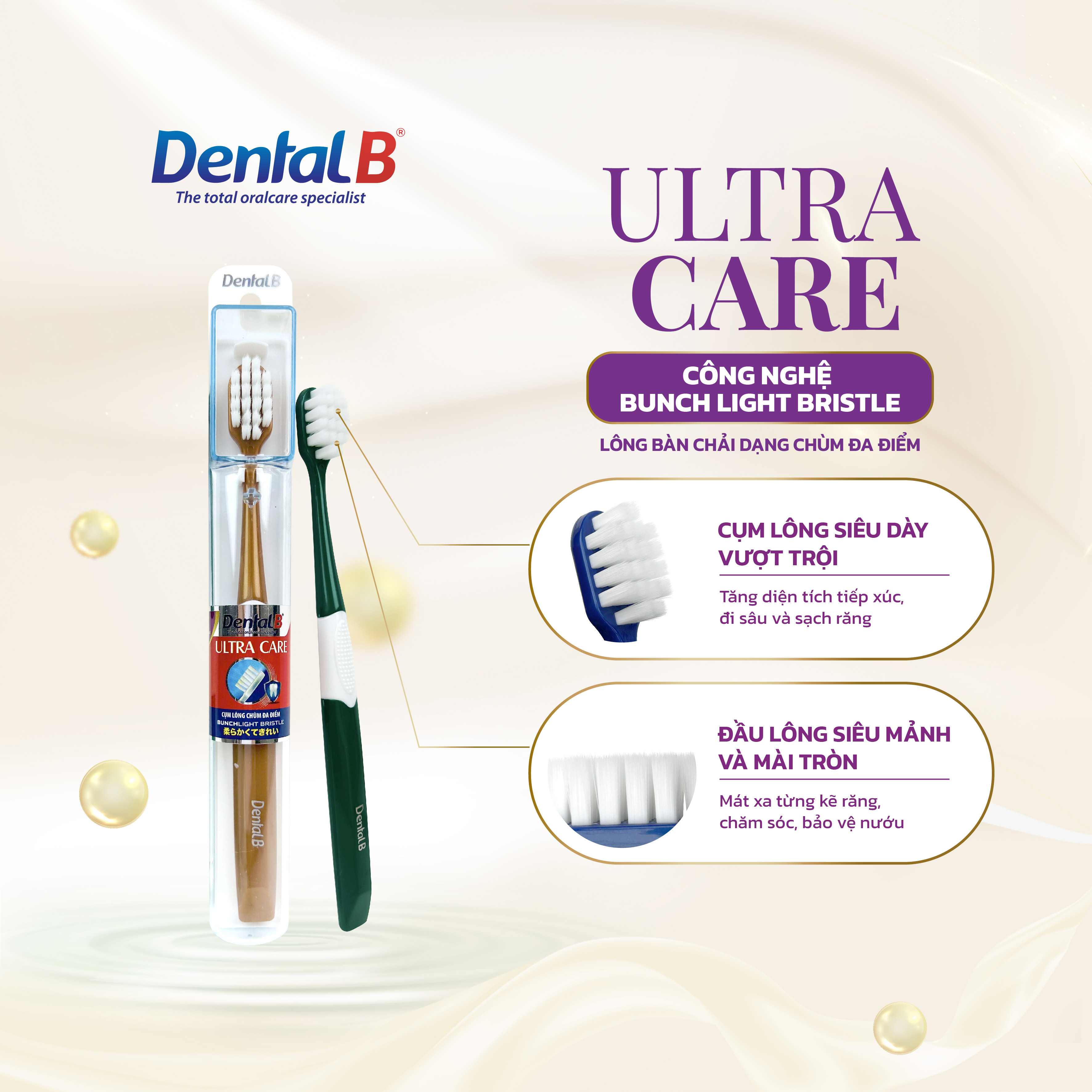 Bàn chải đánh răng người lớn Dental B - 6