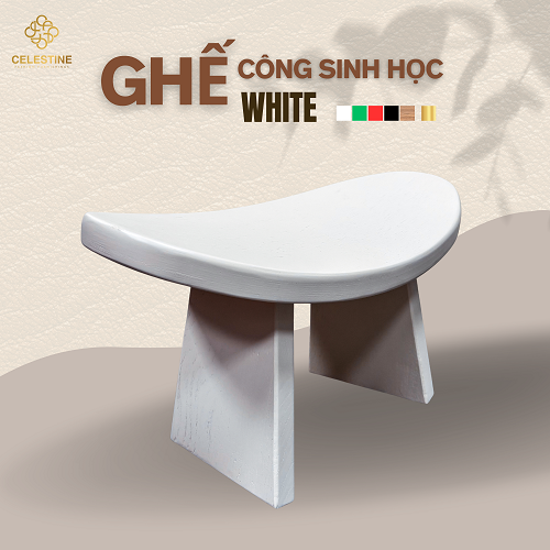 Ghế Công Sinh Học WHITE