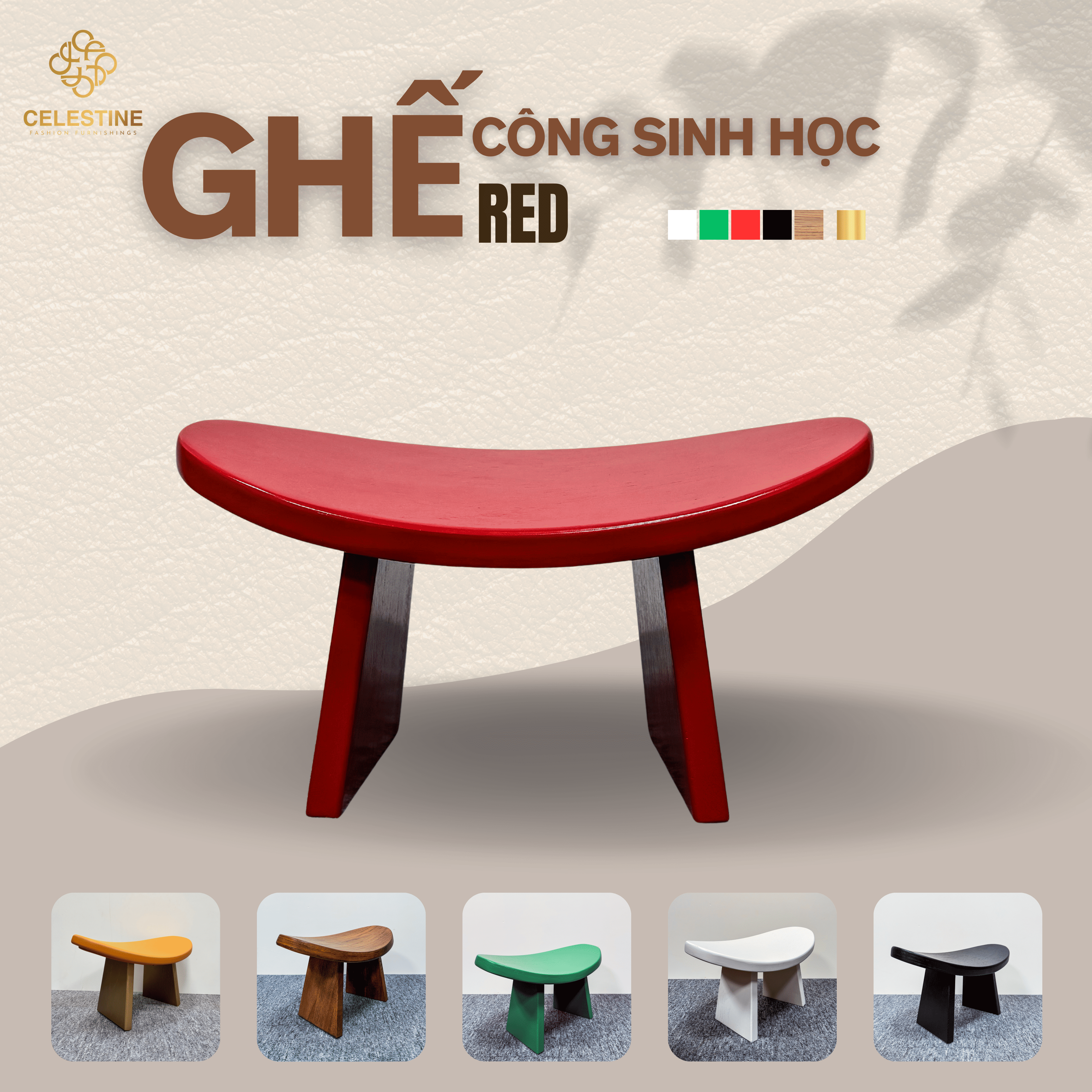 Ghế Công Sinh Học RED