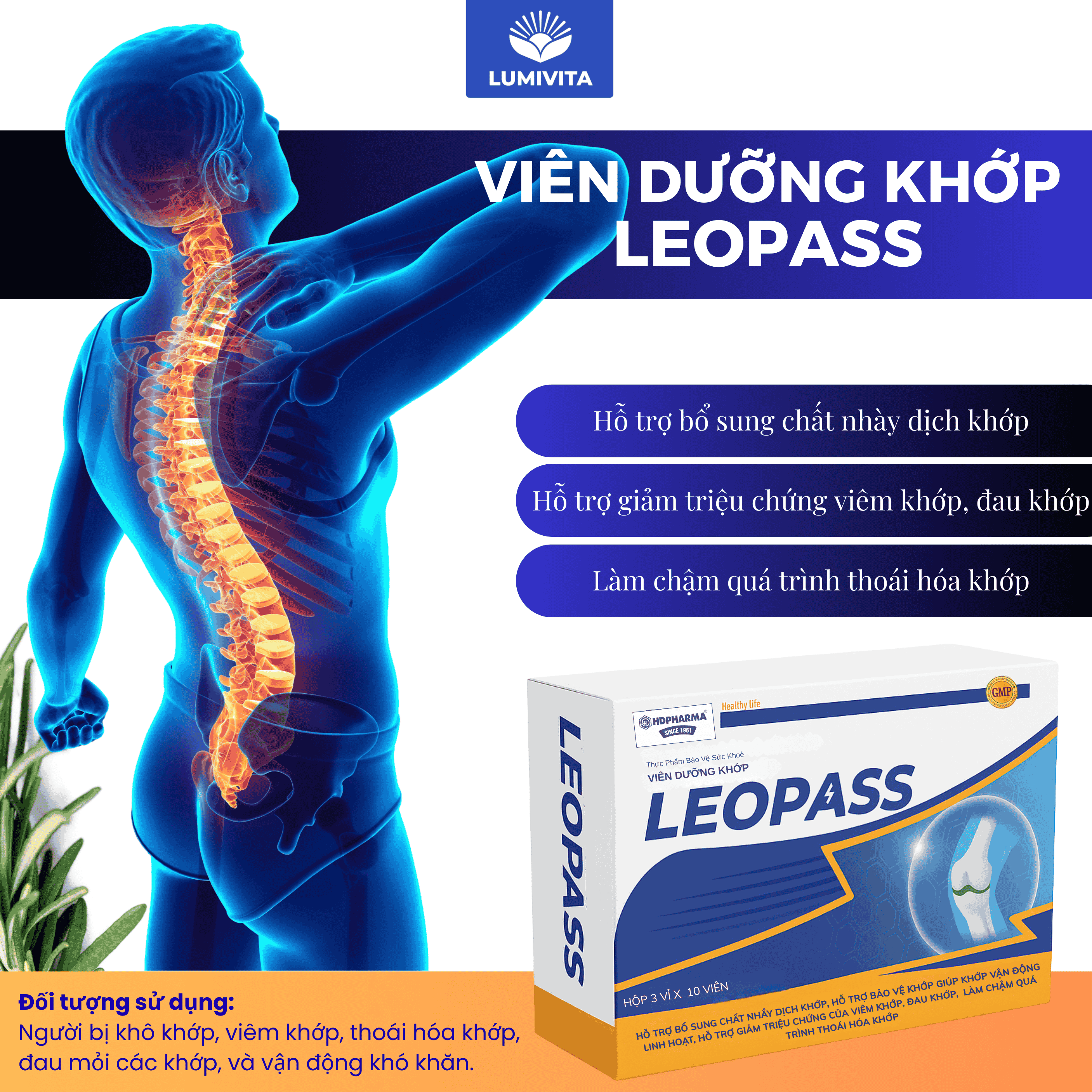 Viên dưỡng khớp LEOPASS: hỗ trợ viêm khớp, thoái hoá khớp tăng cường tái tạo sụn và xương khớp.