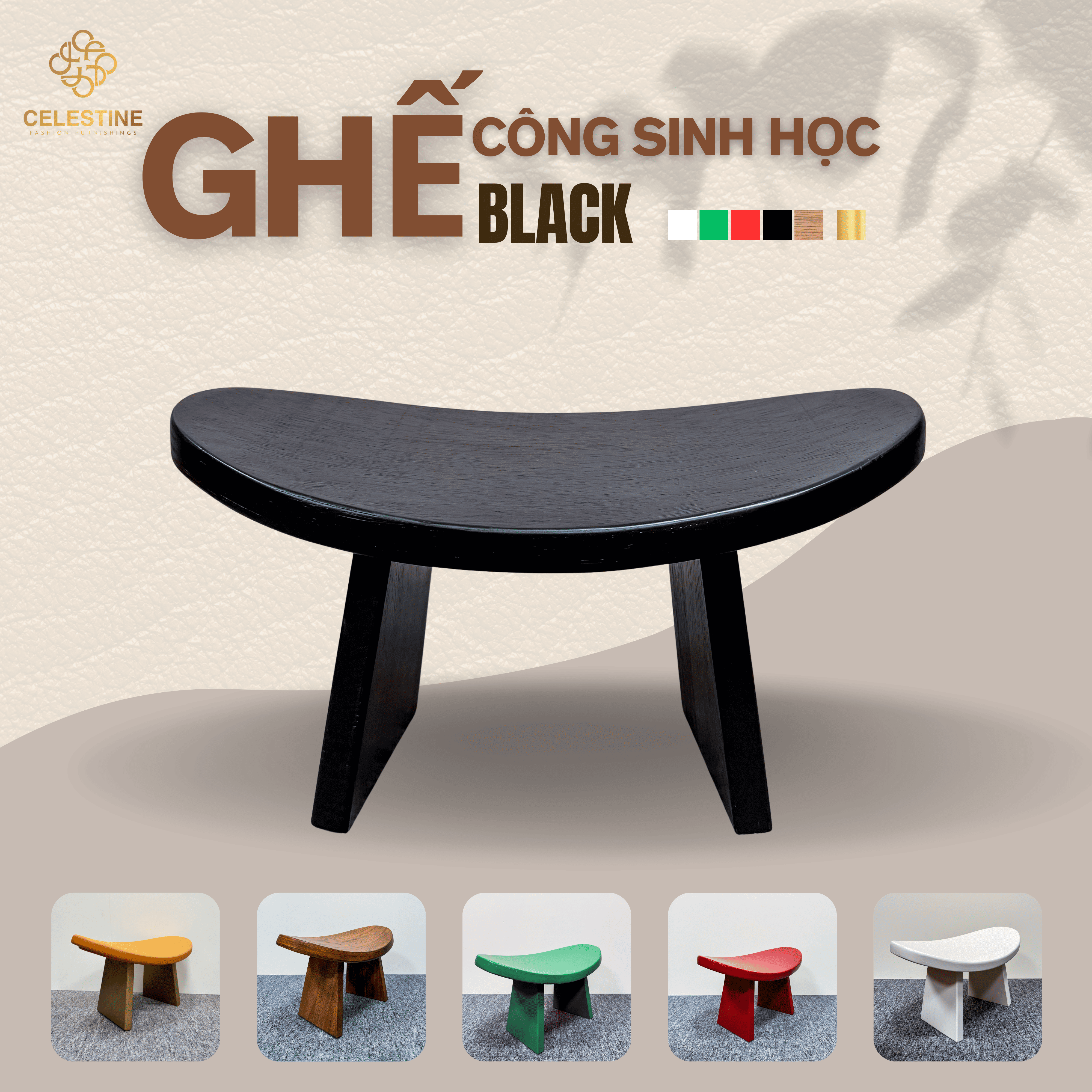 Ghế Công Sinh Học BLACK